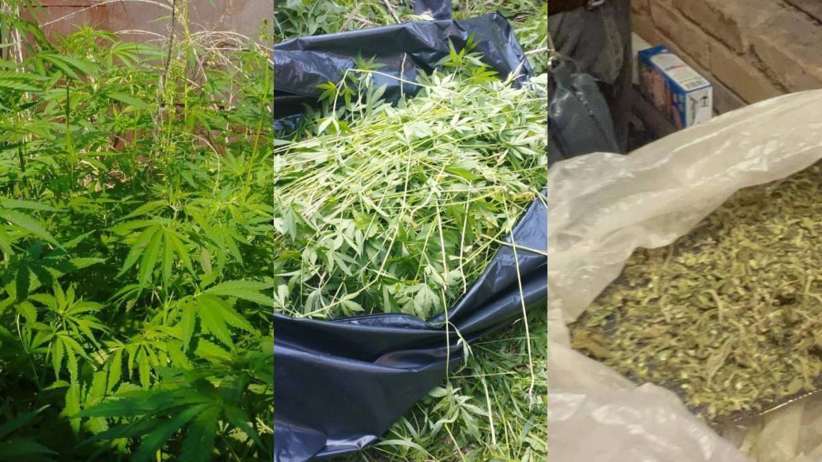 Фото: Polisia.kz