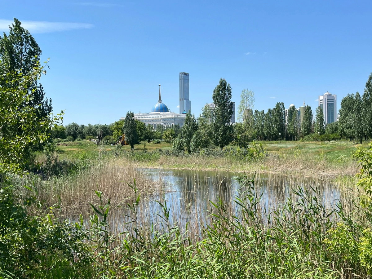 Фото: Владислава Гришина/NewTimes.kz