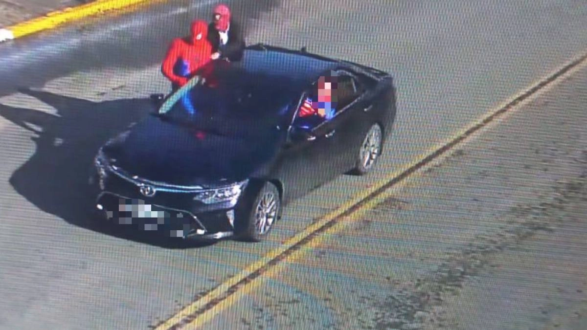 Фото: скриншот видео