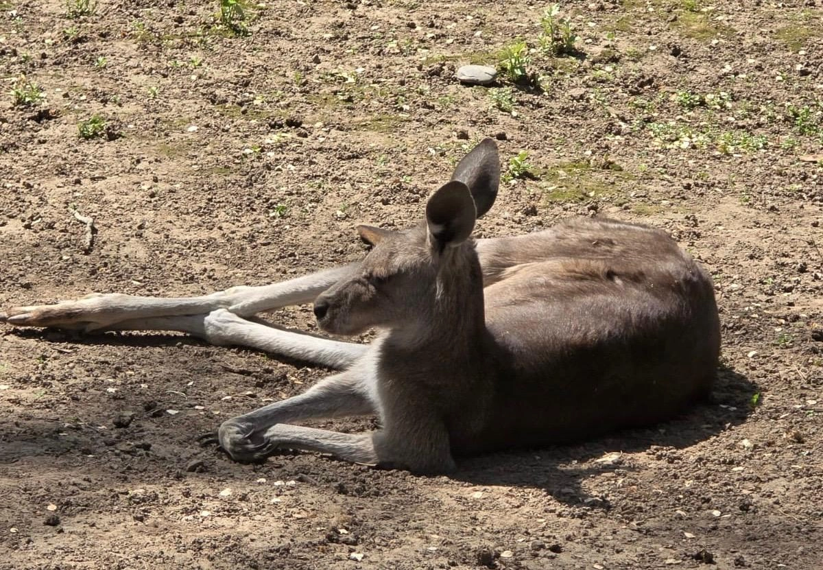 Фото: newtimes.kz