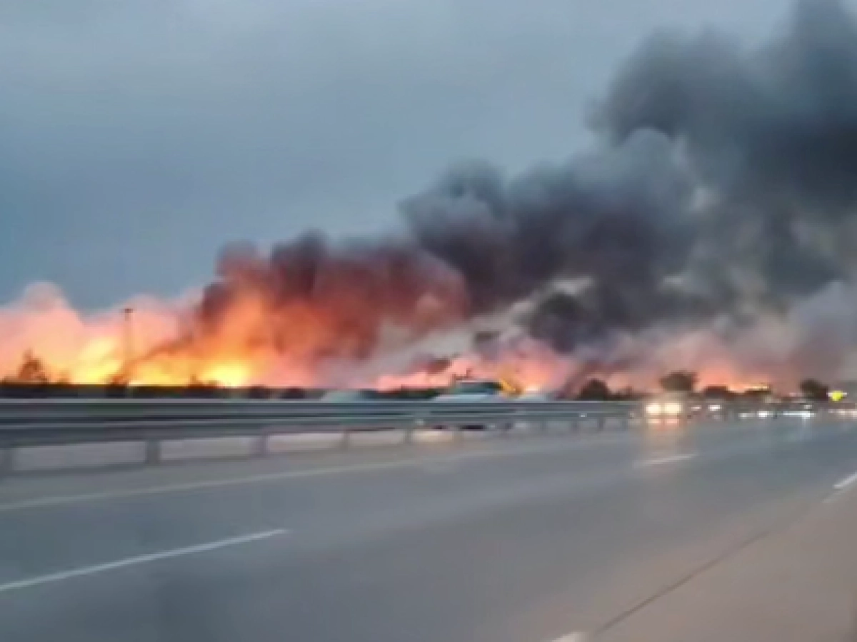 Кадр из видео