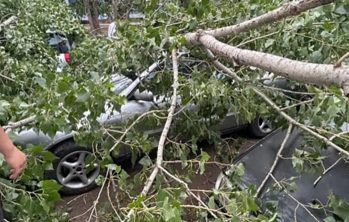 Пресс-служба акимата Павлодарской области