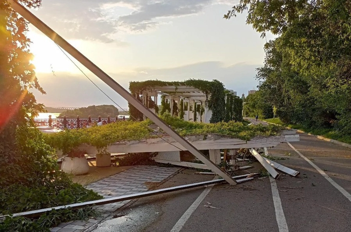 Фото: пресс-служба Павлодарской области