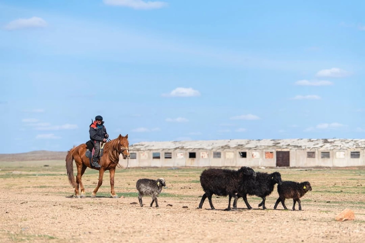 Фото: Instagram.com/ospanali