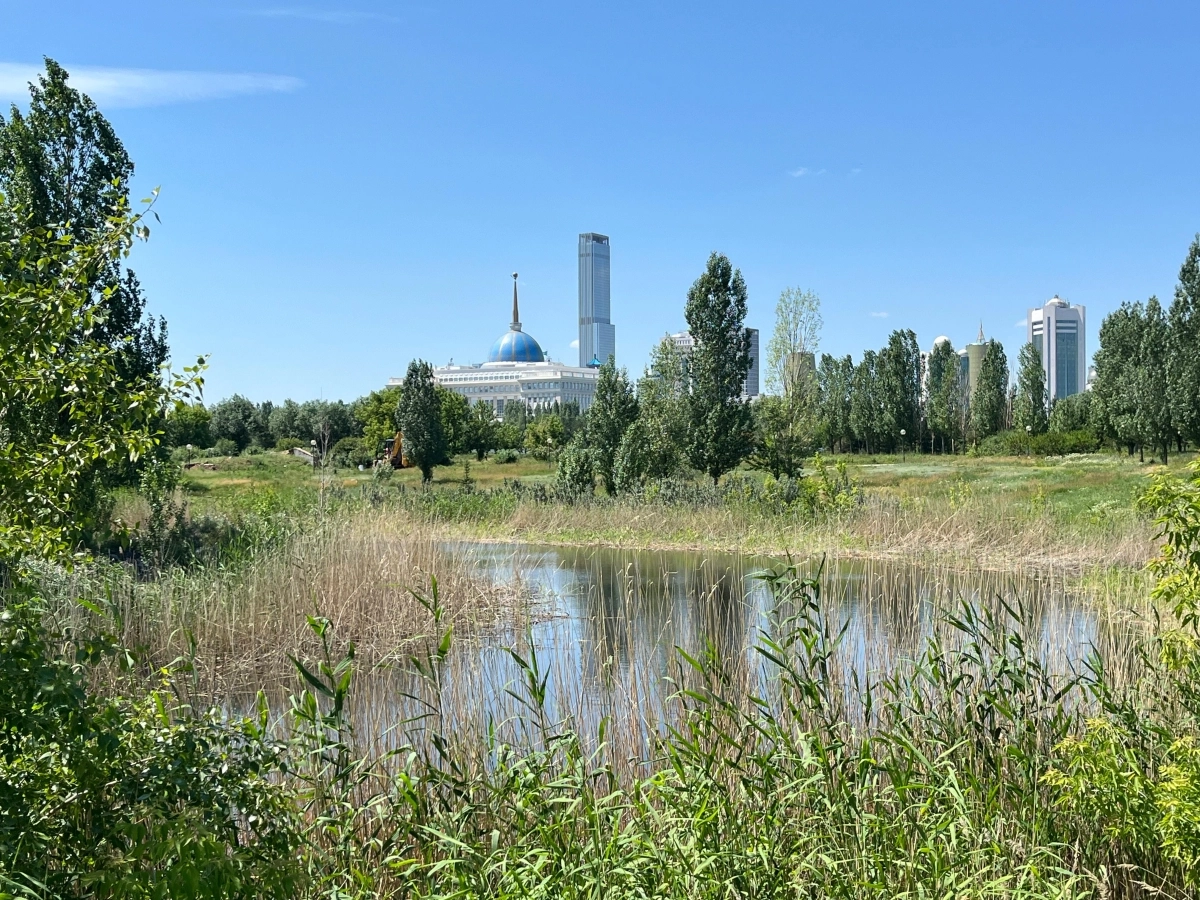 Фото: Владислава Гришина/NewTimes.kz