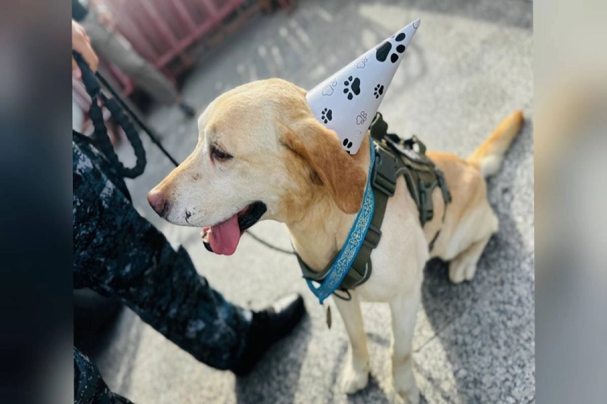 Фото: polisia.kz