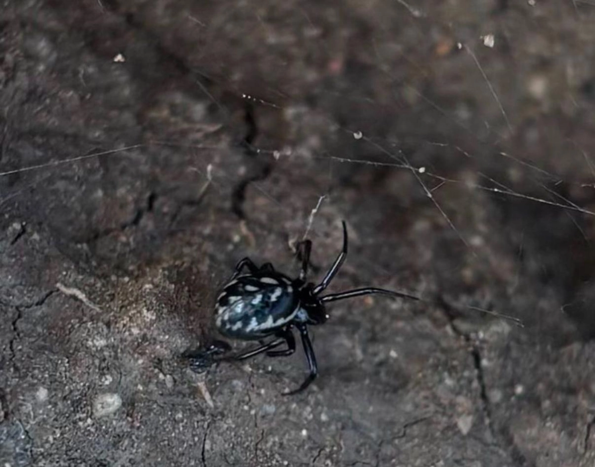 Фото: ИА «NewTimes.kz»