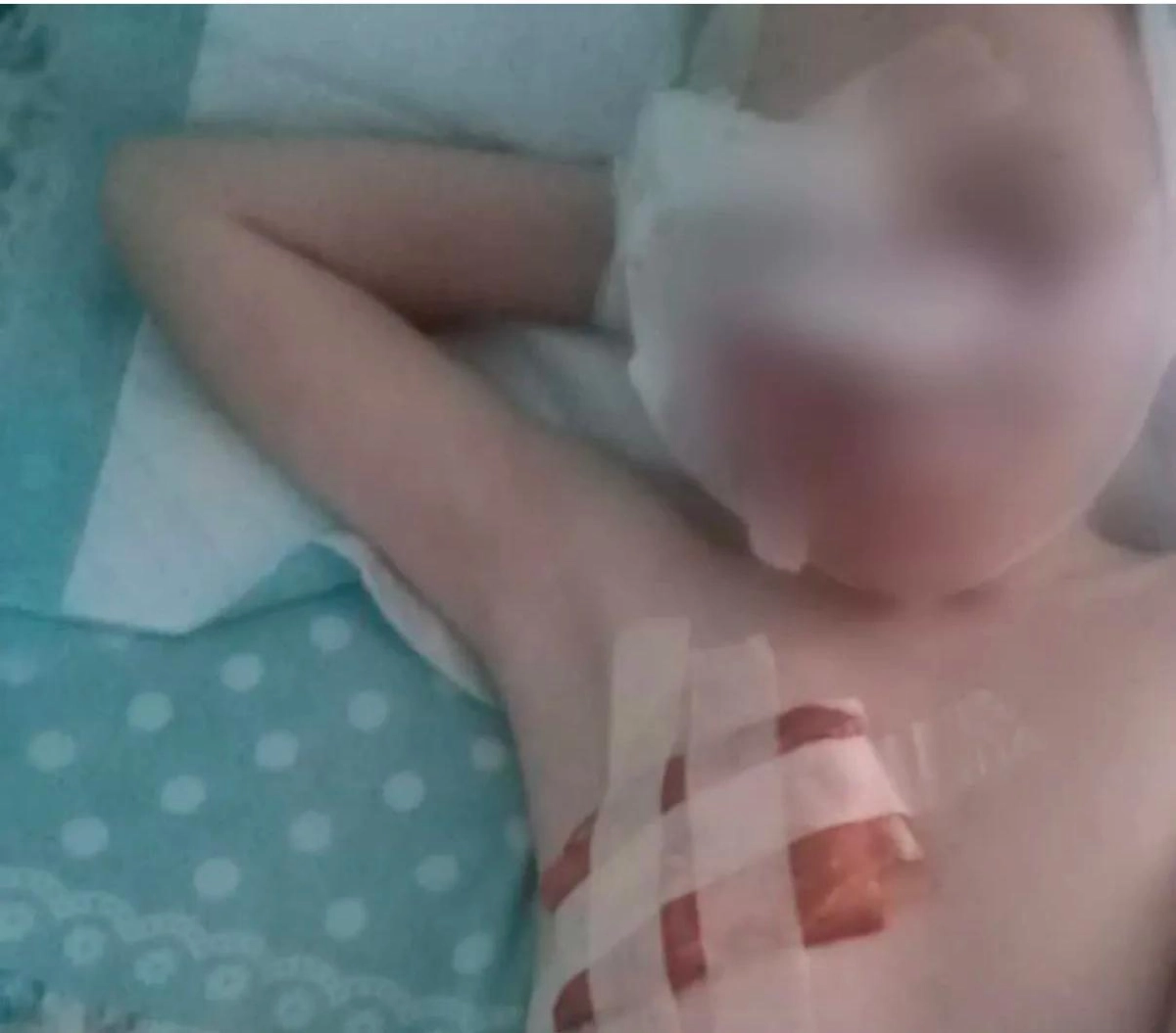 Фото: из социальных сетей