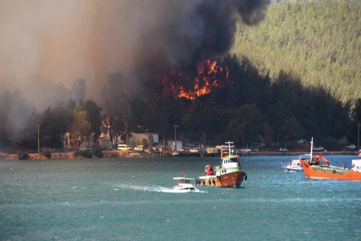 Фото:  AP Photo / IHA