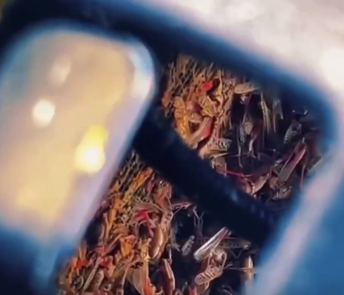 Кадр из видео