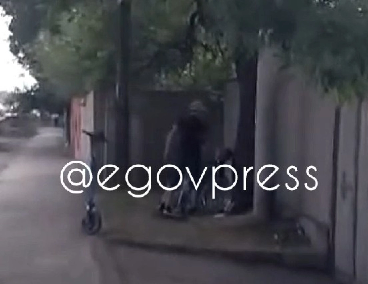 Фото: скриншот видео