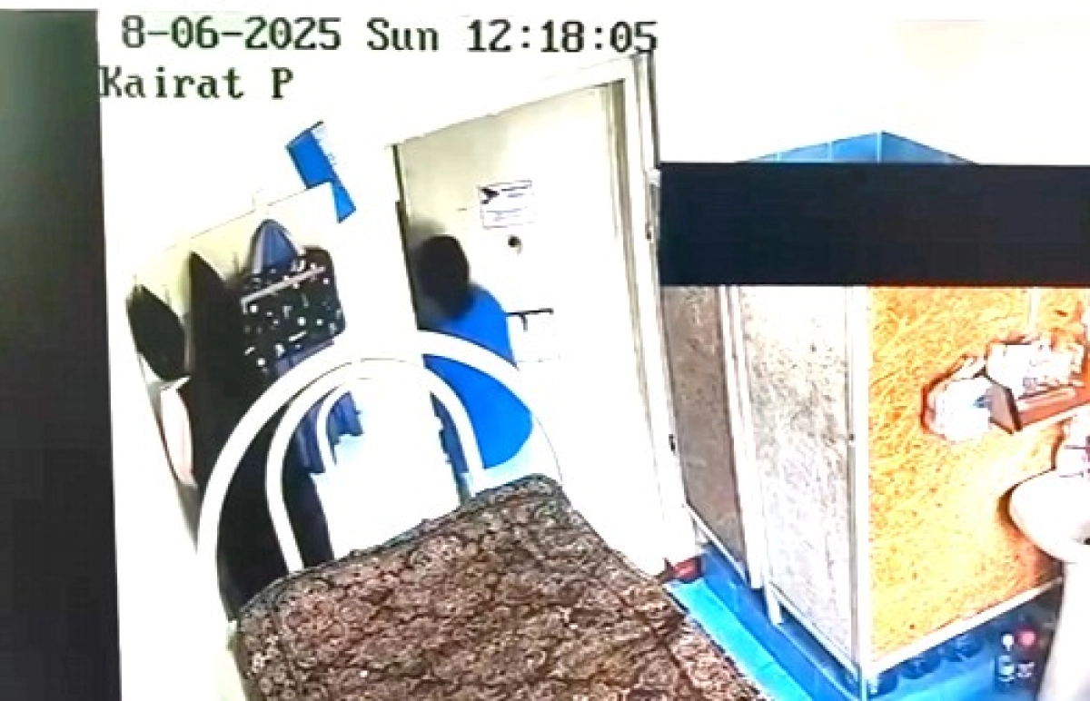 Фото: скриншот видео