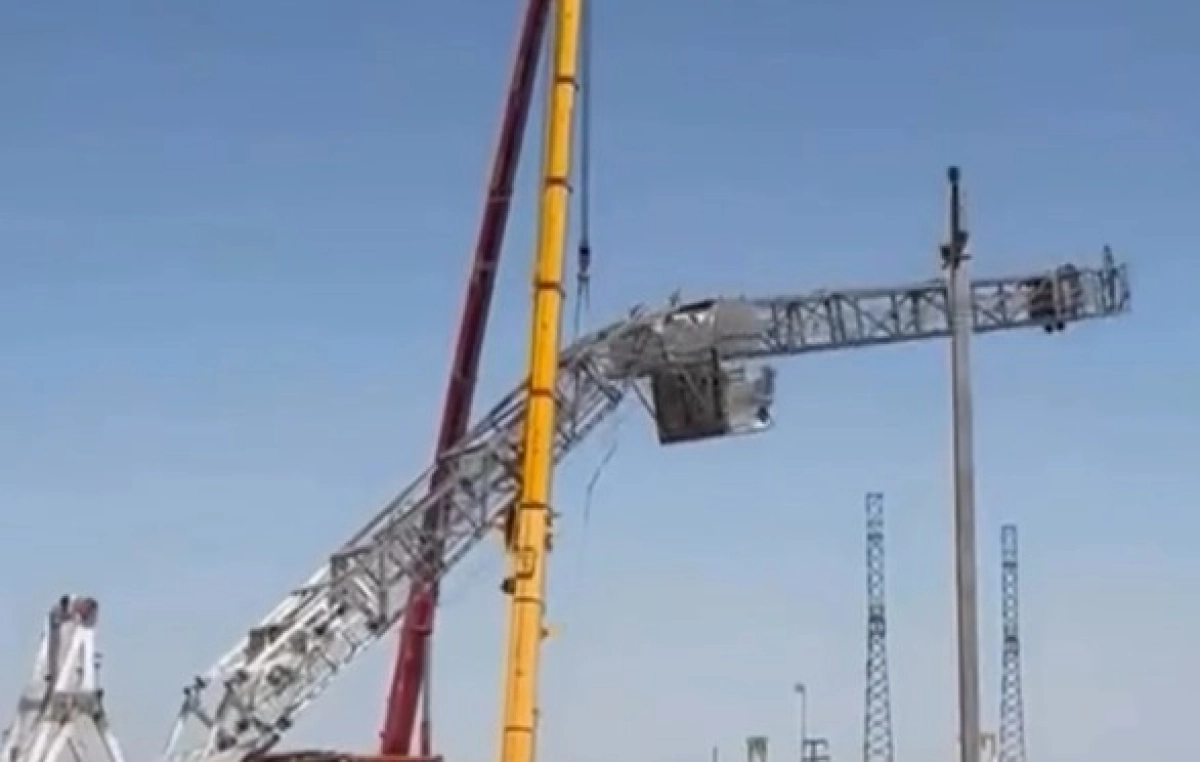 Фото: скриншот