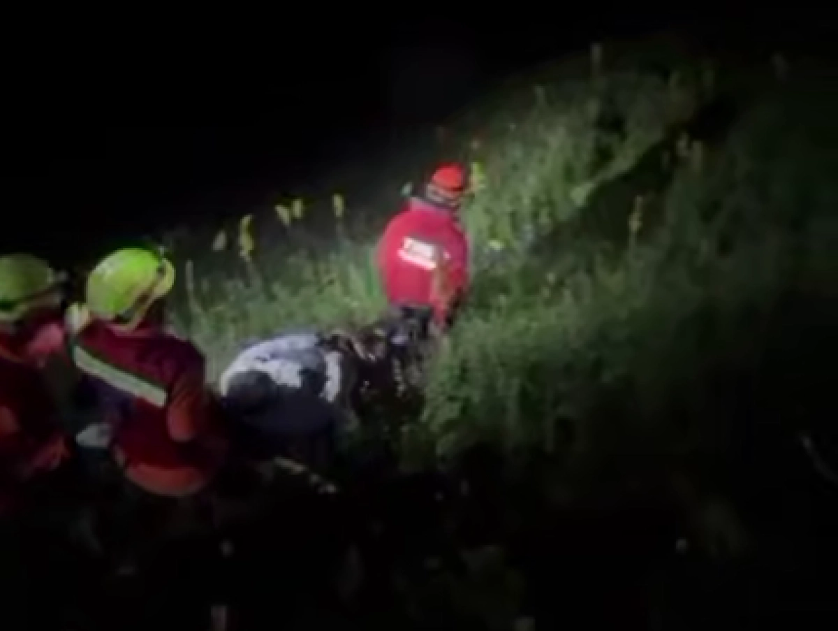 Кадр из видео