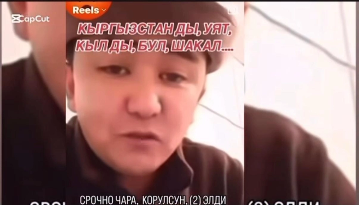 Фото: скриншот видео