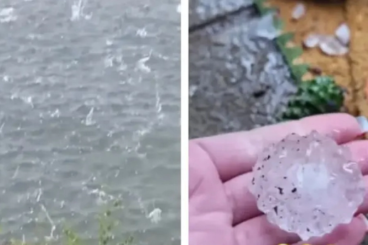 Фото: социальные сети