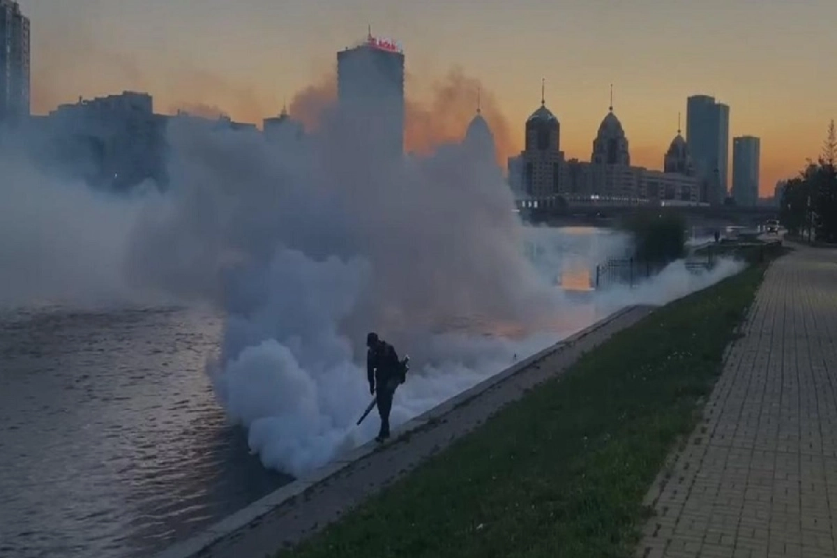 Фото: пресс-служба акима Астаны