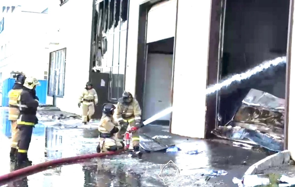 Фото: скриншот видео