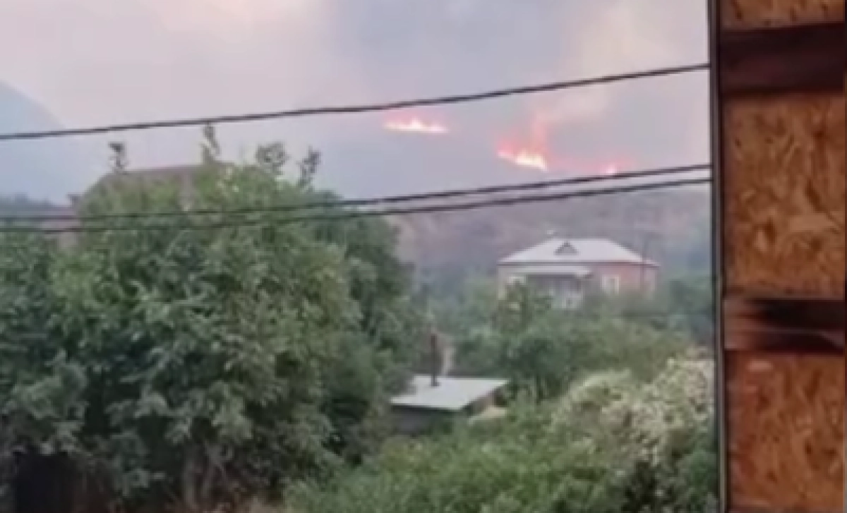 Фото: кадр из видео