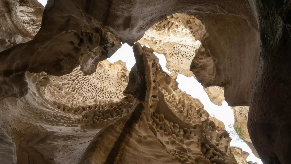 Фото: Istock/tapanuth