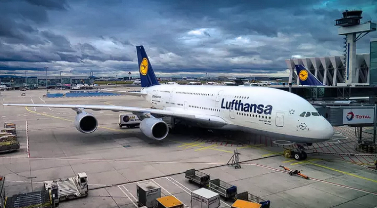 Фото: pexels.com