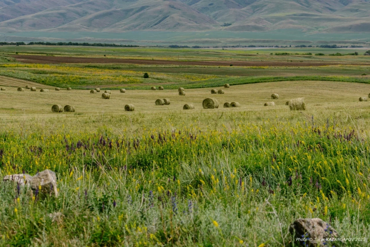 Фото: Турар Казангапов/NewTimes.kz