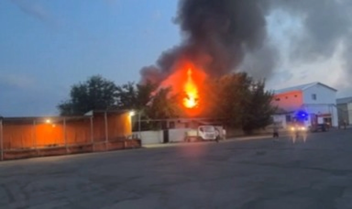 Фото: скриншот видео