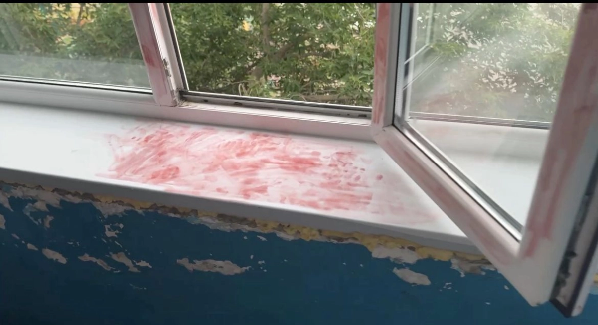 Фото: скриншот из видео