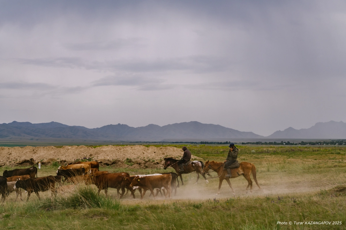 Фото: Турар Казангапов / NewTimes.kz