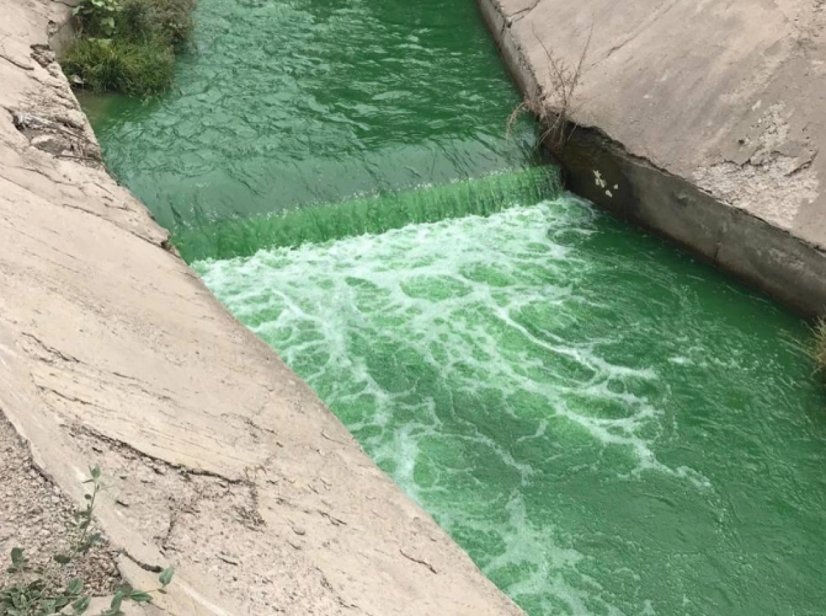 Кадр из видео