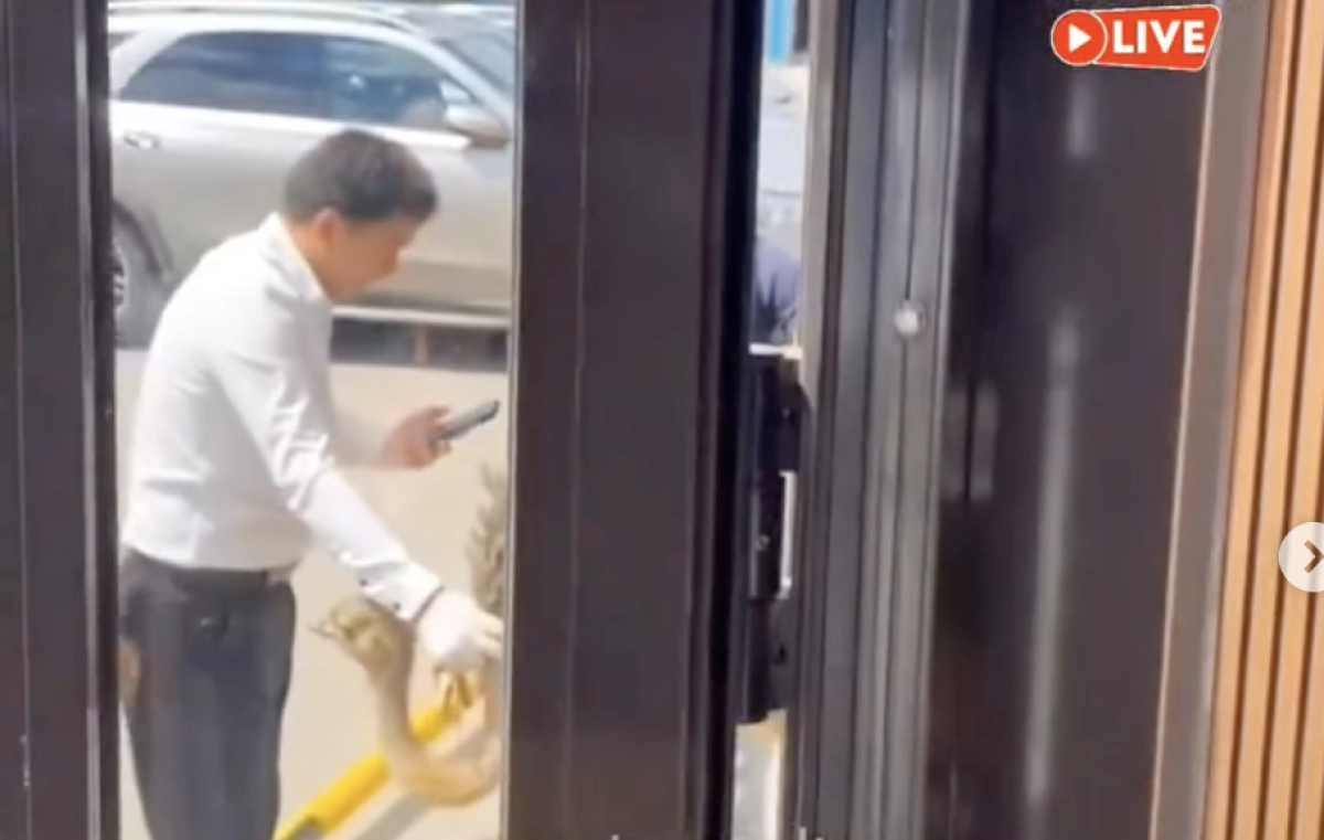 Фото: скриншот видео