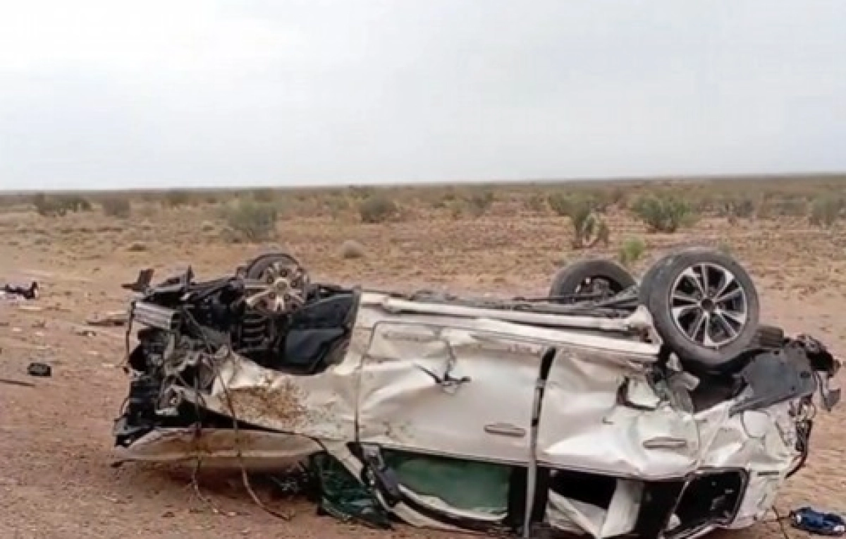 Фото: скриншот видео