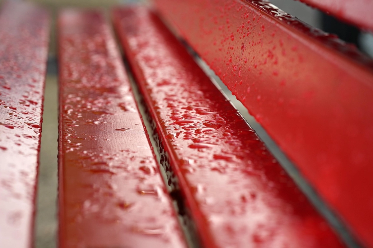 Фото: pixabay.com