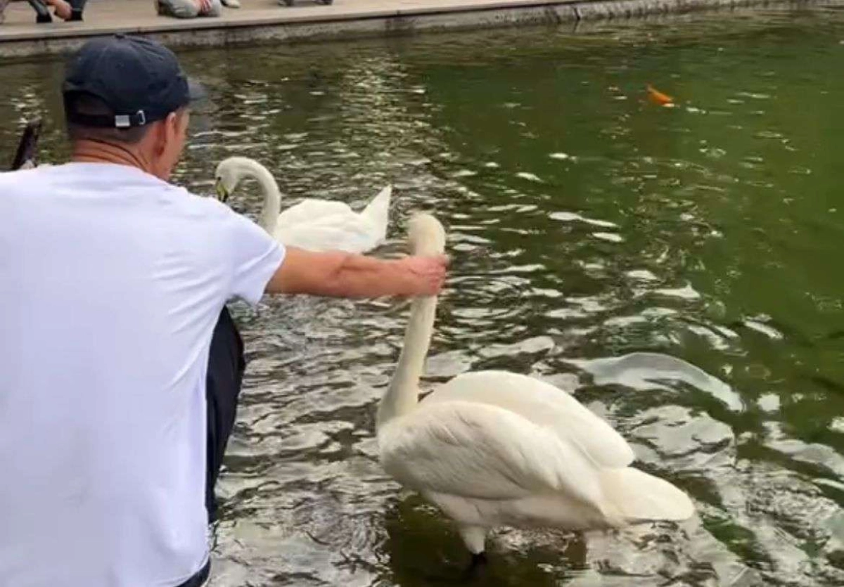 Фото: скриншот видео