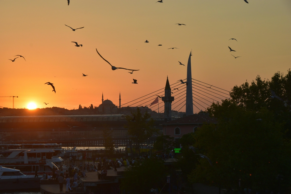 Фото: pexels/иллюстративное