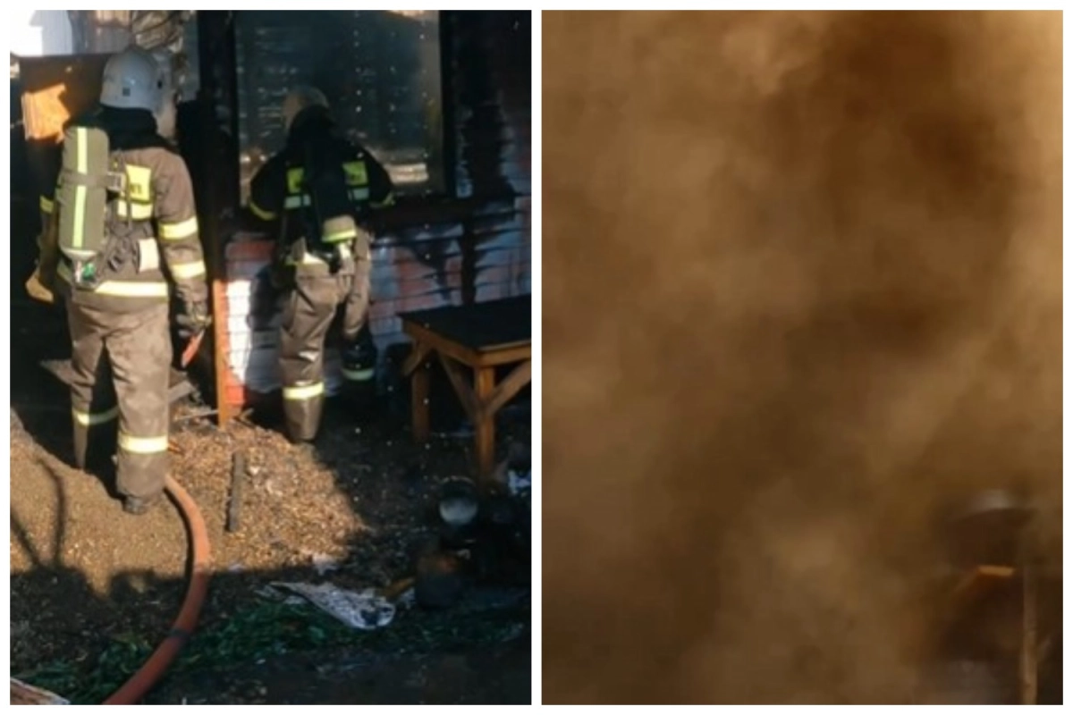 Фото: скриншот видео