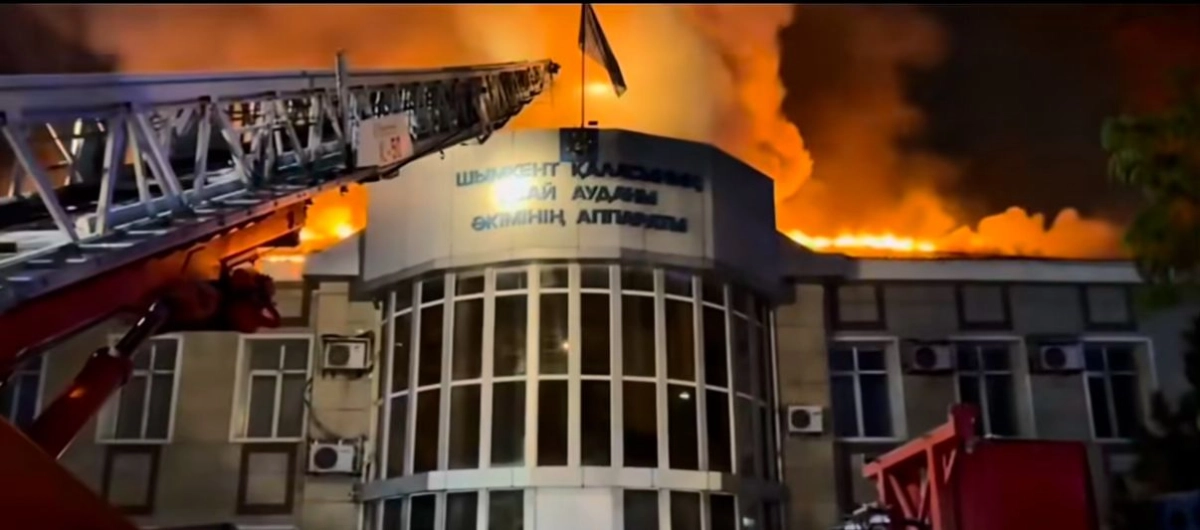 Фото: Скриншот видео