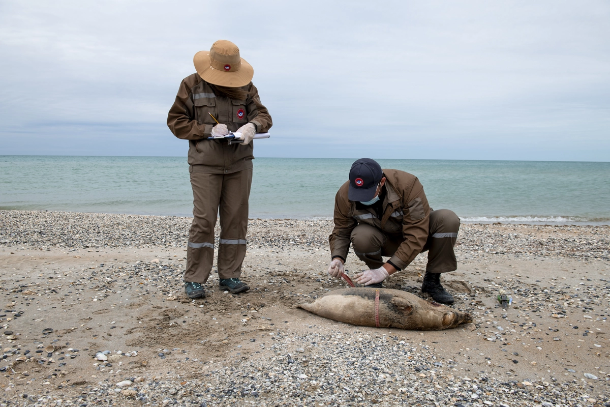 Фото: Оспан Али