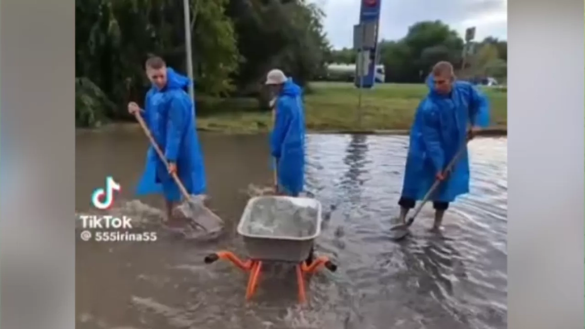 Фото: скриншот видео