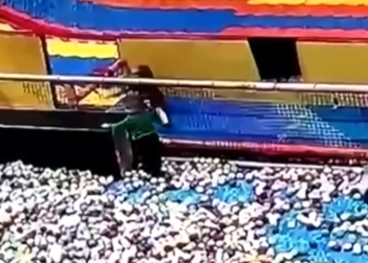 Кадр из видео/ КТК