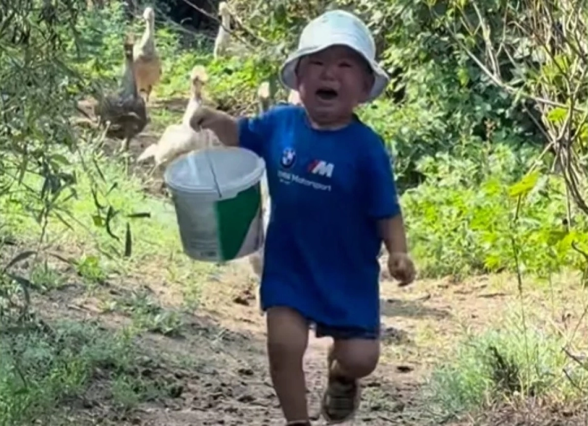 Фото: скриншот видео