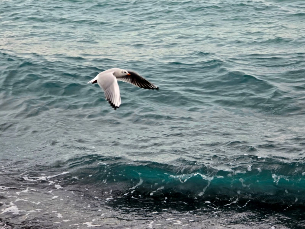 Фото: ИА «NewTimes.kz»