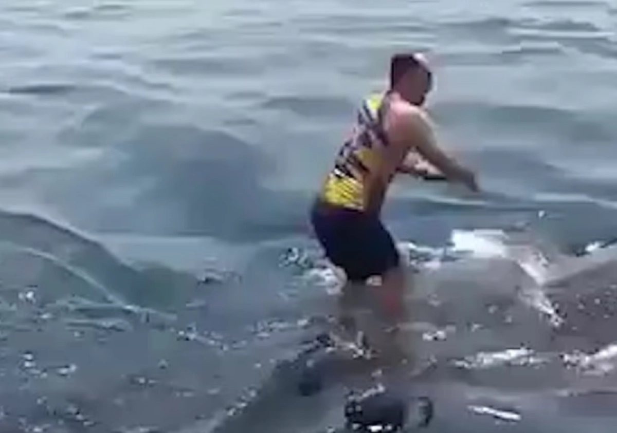 Кадр из видео