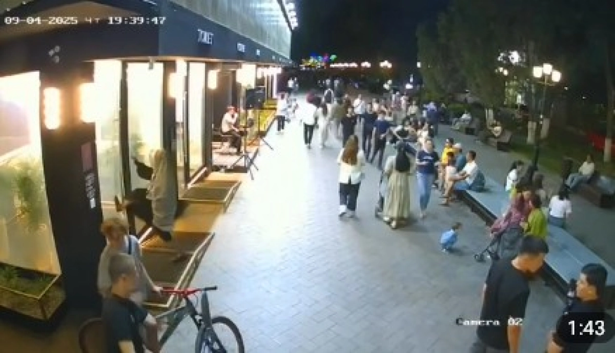 Фото: скриншот видео