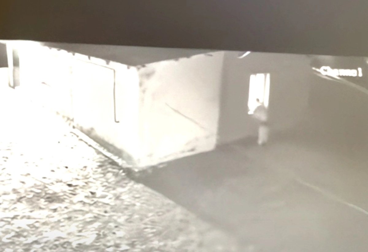 Фото: скриншот видео