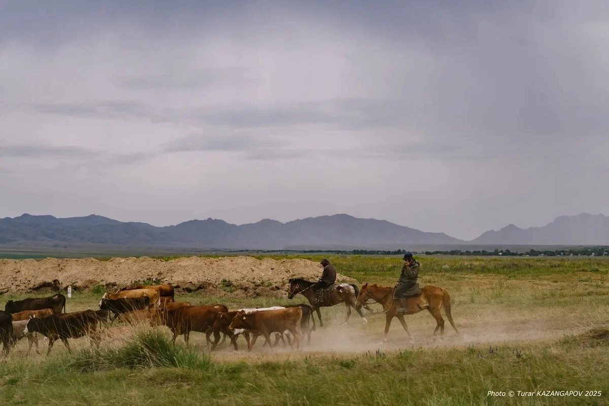 Фото: ИА «NewTimes.kz» / Турар Казангапов