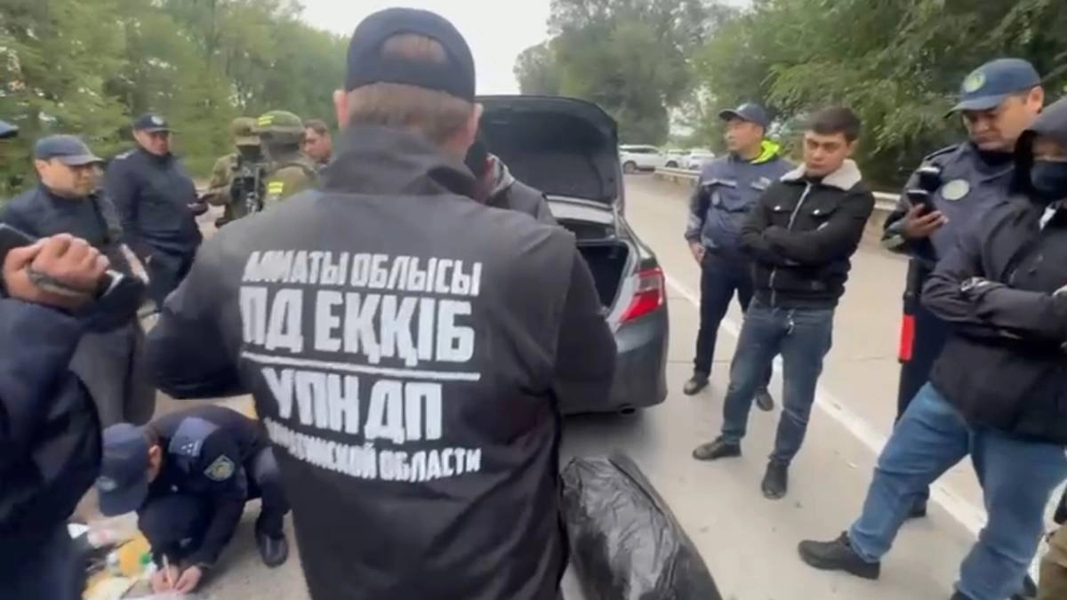 Фото: скриншот видео