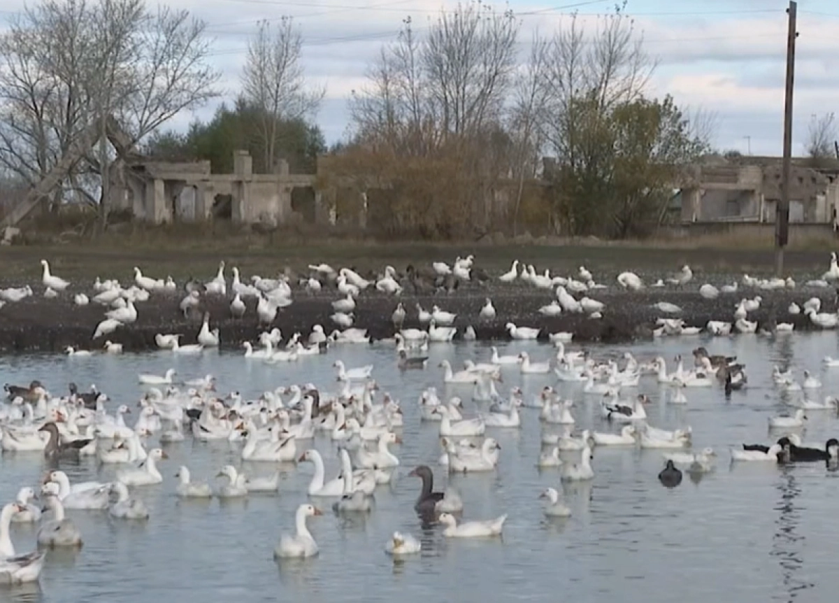 Кадр из видео/ КТК