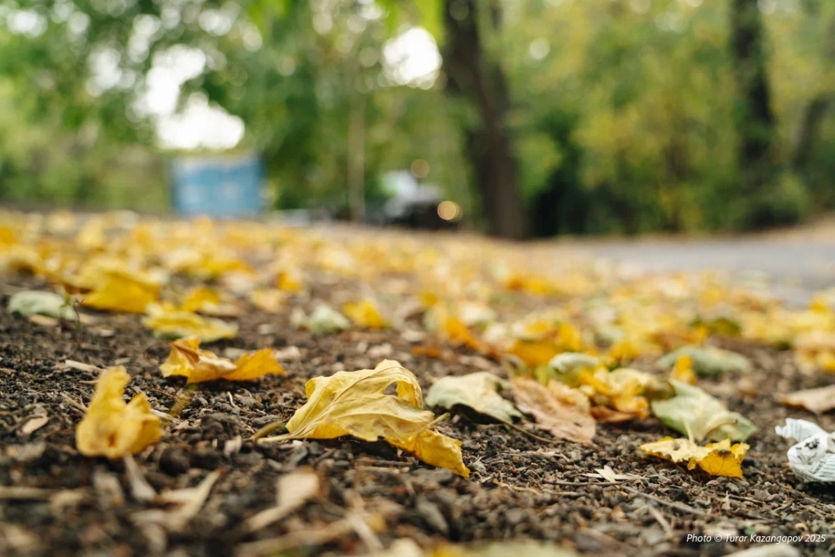 Фото: Newtimes.kz/ Турар Казангапов