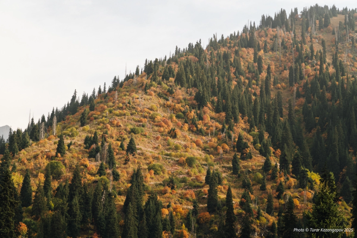 Фото: Newtimes.kz/ Турар Казангапов